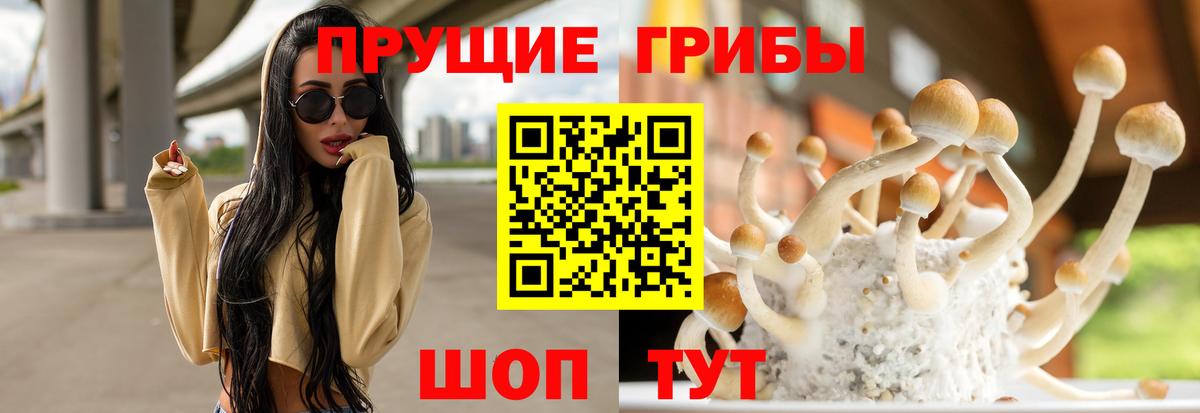 Галлюциногенные грибы Magic Shrooms  Вход с VPN  Серов 